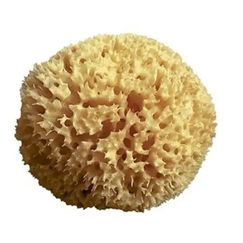 Archipel Éponge Pure Naturelle 10cm