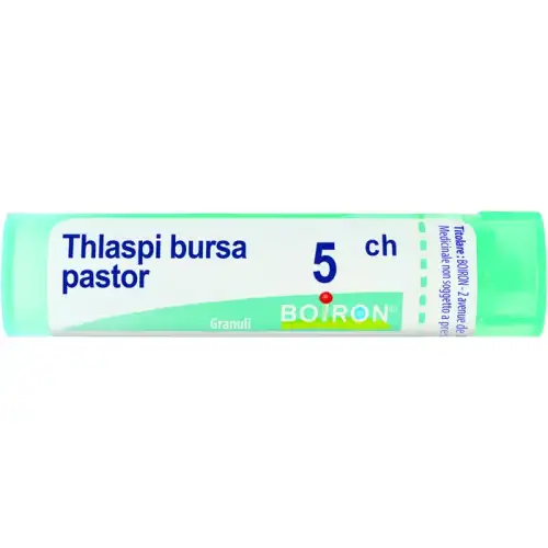 Thlaspi Bursa Pastor 5ch Boiron Granulés 4g