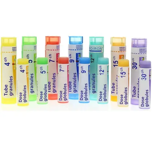 Laboratoires Boiron Thyroidinum 6ch Remède Homéopathique En Granulés